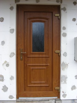 Panel Ametyst S1 prosklený ornamentním sklem kůra čirá, barva dveří zlatý dub(renolit č. 2178001-167).